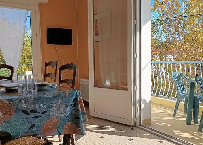 Lumineux A 100m De La Plage, Balcon Et Animaux Admis - Fr-1-540-204 *