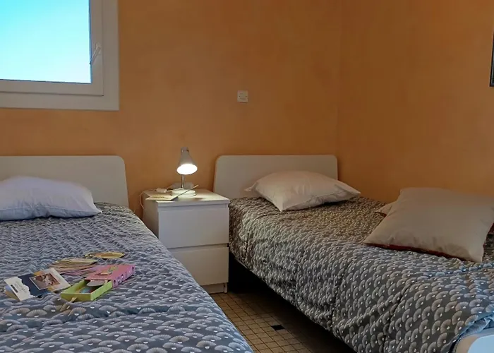 Lumineux A 100m De La Plage, Balcon Et Animaux Admis - Fr-1-540-204