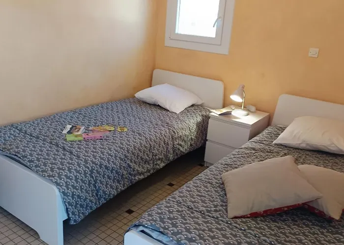 Lumineux A 100m De La Plage, Balcon Et Animaux Admis - Fr-1-540-204 *