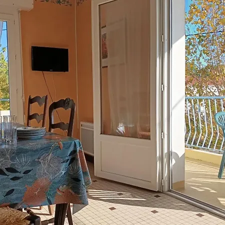 Lumineux A 100m De La Plage, Balcon Et Animaux Admis *