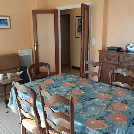 Apartment Lumineux A 100m De La Plage, Balcon Et Animaux Admis