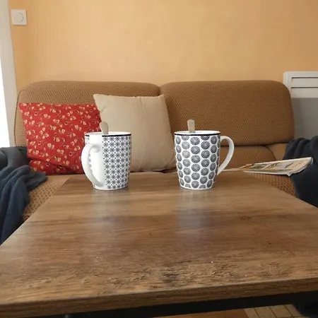 Apartment Lumineux A 100m De La Plage, Balcon Et Animaux Admis - Fr-1-540-204 *