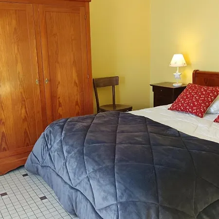 Apartment Lumineux A 100m De La Plage, Balcon Et Animaux Admis - Fr-1-540-204