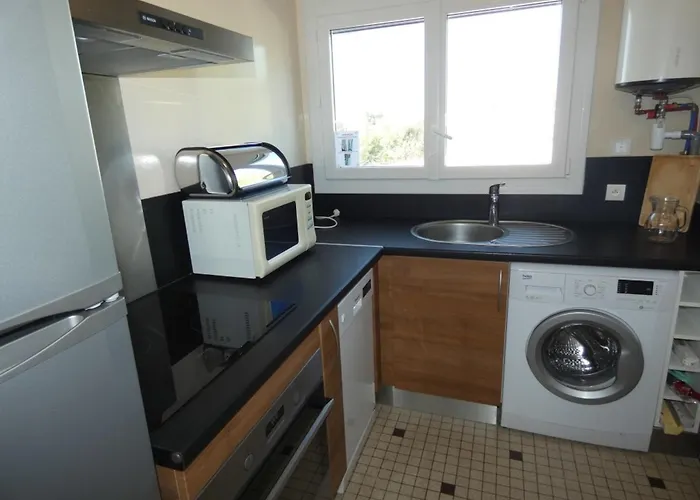 Lumineux A 100m De La Plage, Balcon Et Animaux Admis - Fr-1-540-204 Appartement