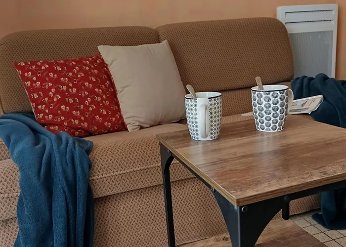 Lumineux A 100m De La Plage, Balcon Et Animaux Admis - Fr-1-540-204 Appartement Notre-Dame-de-Monts