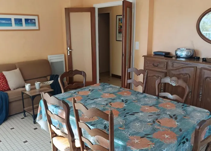 Appartement Lumineux A 100m De La Plage, Balcon Et Animaux Admis - Fr-1-540-204