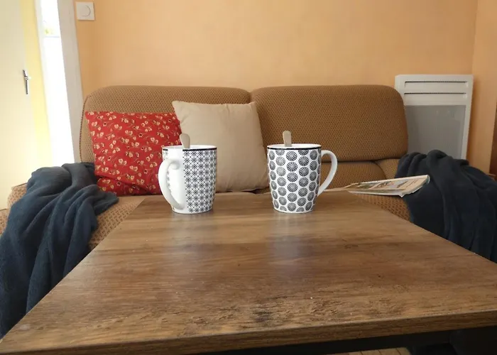 Appartement Lumineux A 100m De La Plage, Balcon Et Animaux Admis - Fr-1-540-204 *