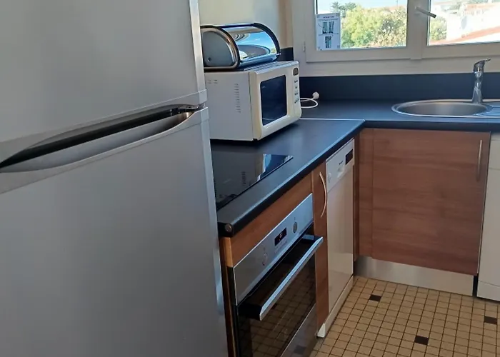 Lumineux A 100m De La Plage, Balcon Et Animaux Admis - Fr-1-540-204