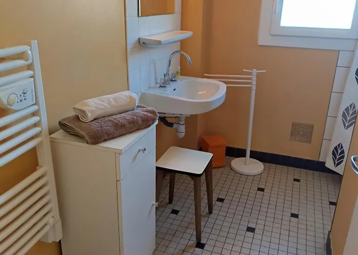 Lumineux A 100m De La Plage, Balcon Et Animaux Admis - Fr-1-540-204 Appartement *